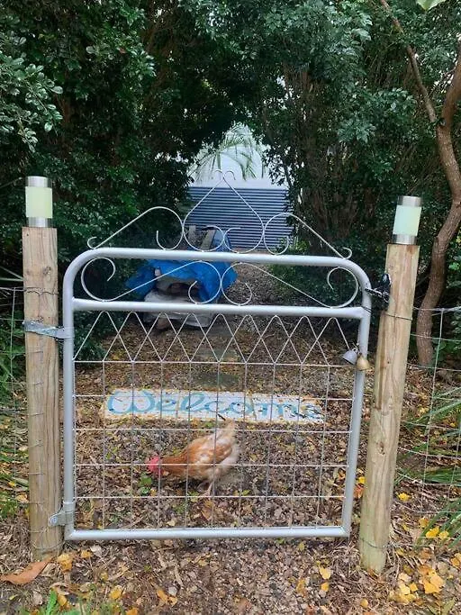 Enchanted Garden Cottage With Bikes And Air Con Russell Island Holiday home